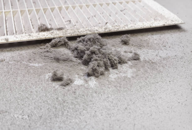 Best Duct Cleaning for Offices  in Rome, GA